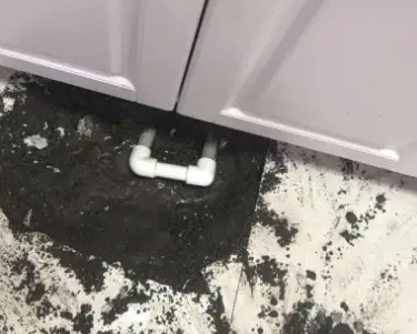 滴道查漏水哪家好
