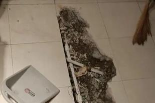 滴道卫生间漏水检测电话